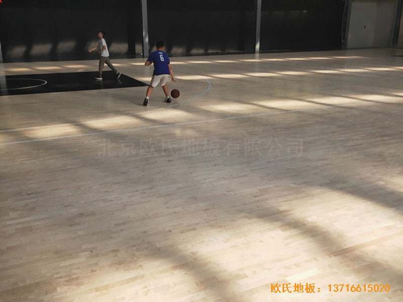 南陽驕陽體育籃球俱樂部運動地板施工案例3